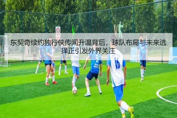 img_1781925170558_43_2_351.jpg
